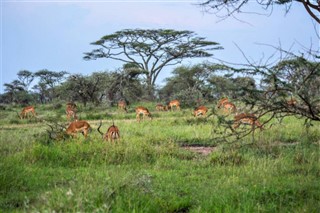 Tanzanie prévisions météorologiques