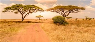 Tanzania vejrudsigt