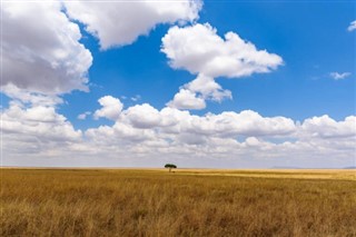 Tanzania vejrudsigt