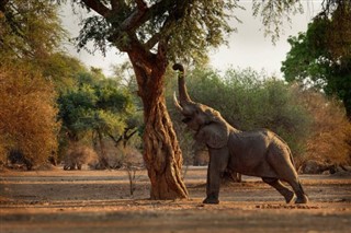 Tanzania vejrudsigt