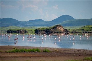Tanzania vejrudsigt