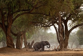 Tanzanie prévisions météorologiques
