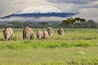 Tanzania vejrudsigt