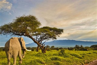 Tanzania pronóstico del tiempo