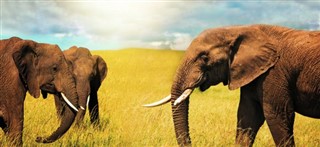 Tanzania vejrudsigt