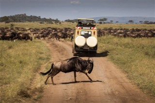 Tanzania vejrudsigt