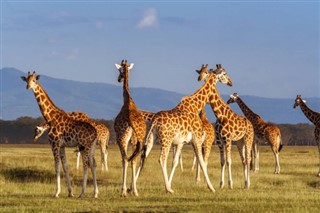 Tanzania vejrudsigt