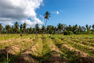 Tanzanie prévisions météorologiques