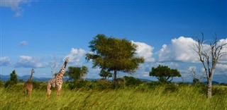 Tanzania vejrudsigt