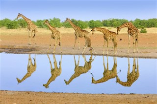Tanzania vejrudsigt