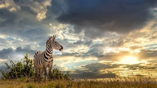 Tanzania vejrudsigt