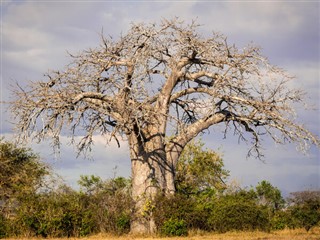 Tanzanija Vremenska prognoza