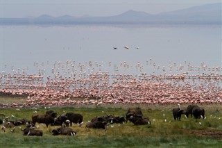 Tanzanya hava tahmini