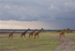 Tanzanie prévisions météorologiques