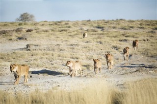 Tanzania vejrudsigt