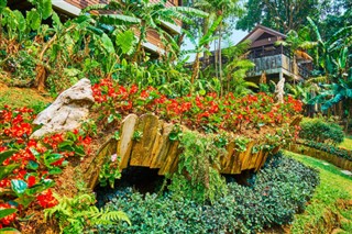 Thailand předpověď počasí
