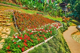 Thailand vejrudsigt