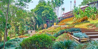 Tayland hava tahmini