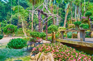 Thailand vejrudsigt