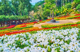 Thailand vejrudsigt