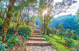 Tayland Hava tahmini