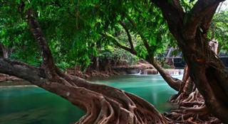 Tayland hava tahmini