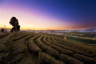 Tayland hava tahmini