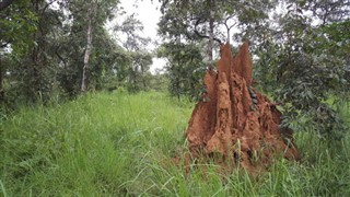 Togo hava tahmini