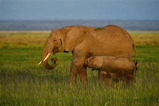 Togo hava tahmini