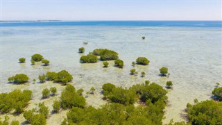 Tokelau vejrudsigt