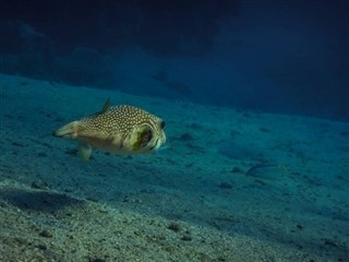 Tokelau időjárás-jelentés