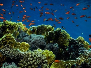 Tokelau vejrudsigt