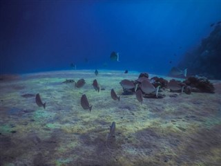 Tokelau vejrudsigt