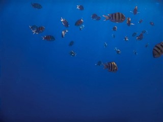 Tokelau hava tahmini