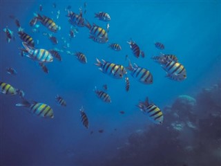 Tokelau vejrudsigt