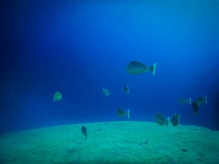 Tokelau hava tahmini
