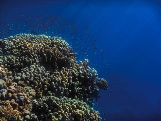 Tokelau időjárás-jelentés