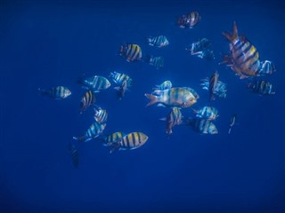 Tokelau időjárás-jelentés