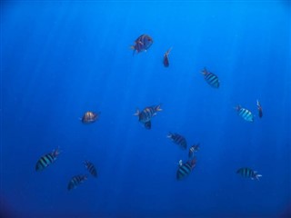 Tokelau weather forecast