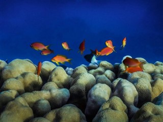 Tokelau vejrudsigt