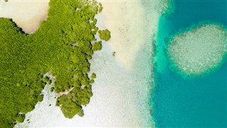 Tokelau vejrudsigt