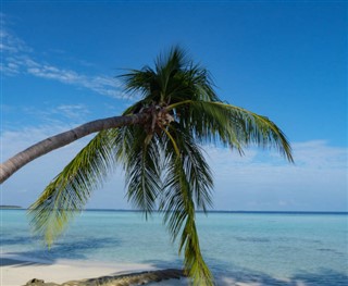 Tokelau vejrudsigt