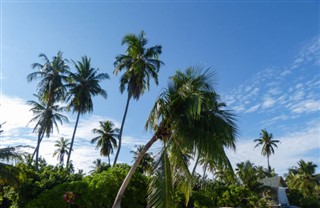 Tokelau Hava tahmini
