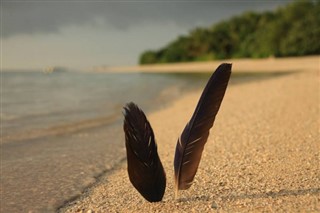 Tonga hava tahmini