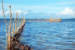 Tonga Időjárás-jelentés