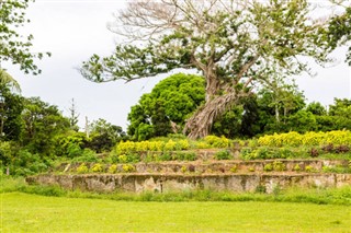 Tonga hava tahmini