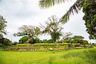Tonga hava tahmini
