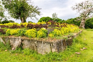 Tonga vejrudsigt