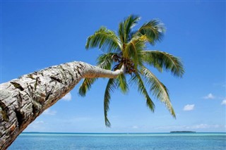 Tonga Hava tahmini