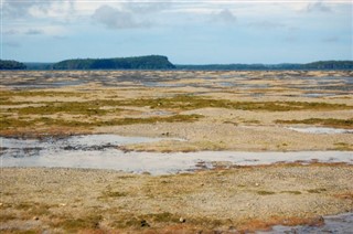Tonga hava tahmini